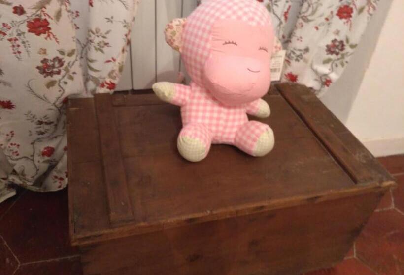 スタンダードルーム, B&b L  Albicocco