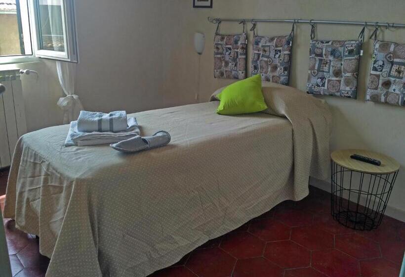 スタンダードシングルルーム, B&b L  Albicocco