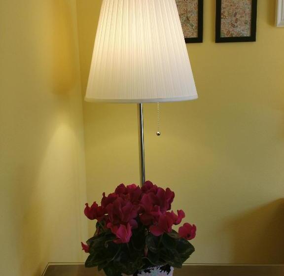 スタンダードルーム, Peropero