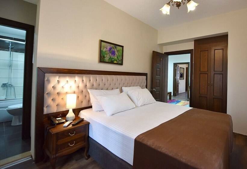 اتاق استاندارد با چشم‌انداز باغ, Zagnospasa Konaklari