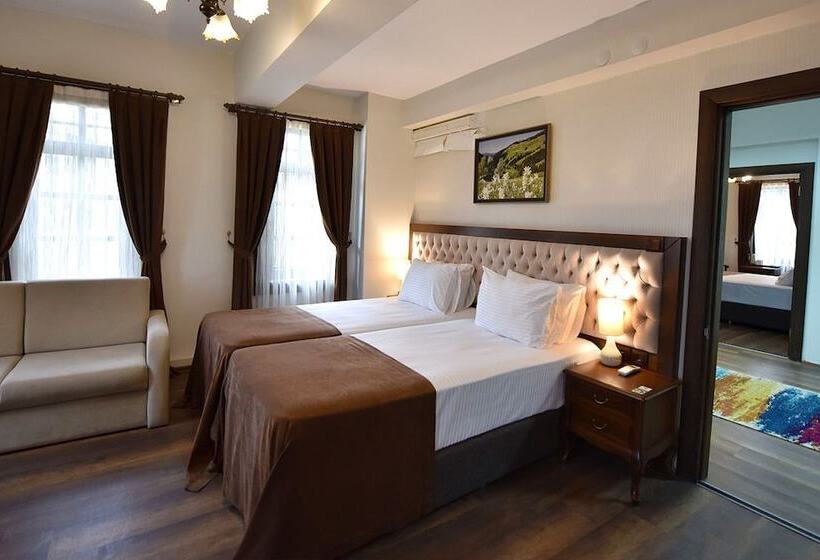 اتاق استاندارد با چشم‌انداز باغ, Zagnospasa Konaklari