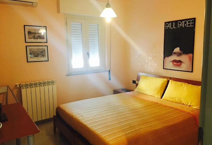 스탠다드 룸, Costapicca