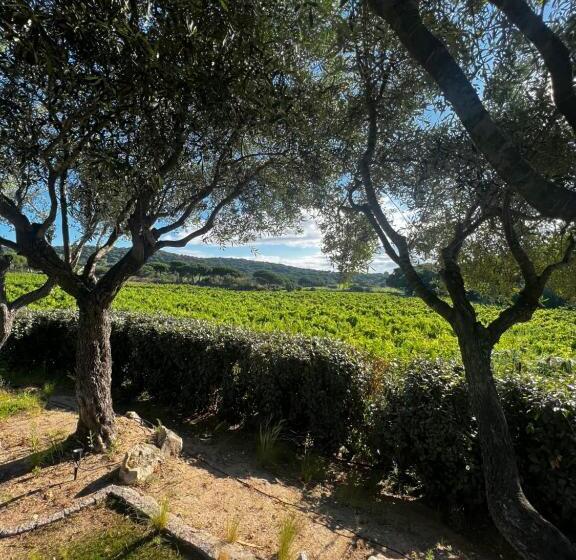 Люкс с Террасой, Auberge De L Oumède