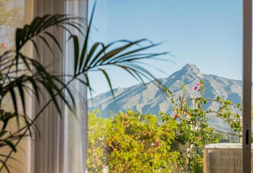 جناح مزود بتراس, Molo Luxury Suites Puerto Banus