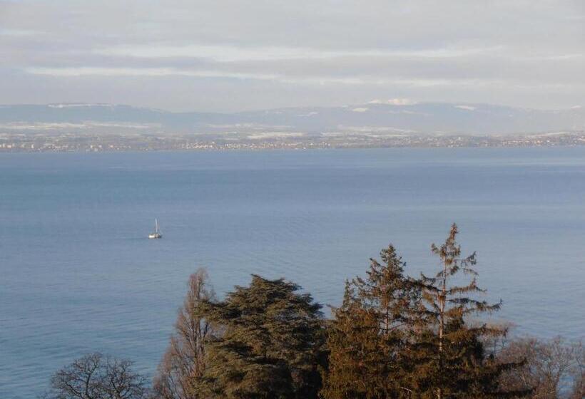 Номер Стандарт Вид на Озеро, Hôtel Evian Express Terminus