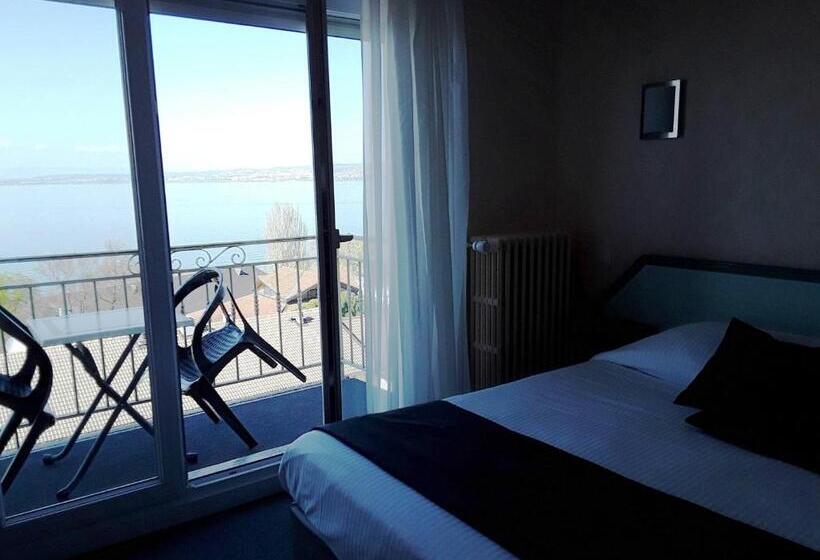 Номер Стандарт Вид на Озеро, Hôtel Evian Express   Terminus