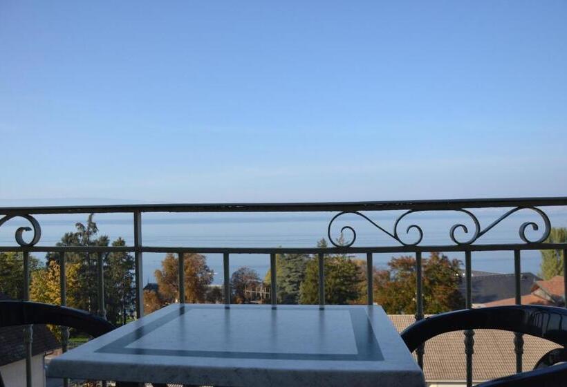 Номер Стандарт Вид на Озеро, Hôtel Evian Express Terminus