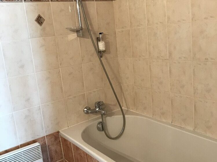 Номер Стандарт Вид на Озеро, Hôtel Evian Express Terminus