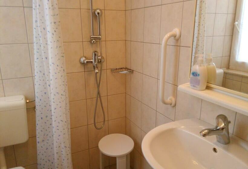 اتاق استاندارد برای معلولان, Domus Damar