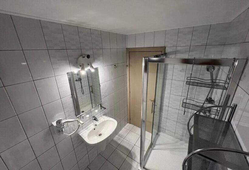 Standard Room, Pensiunea Crescent Predeal