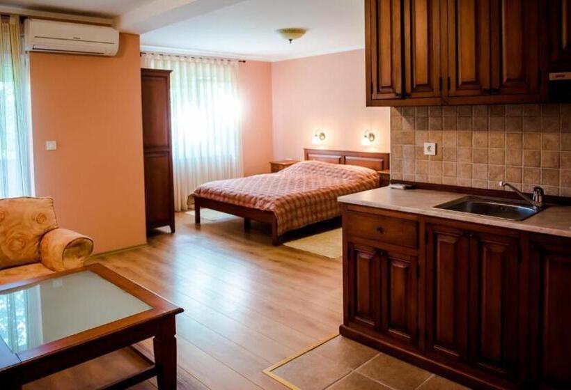 استودیو استاندارد با بالکن, Villa Monako 2000