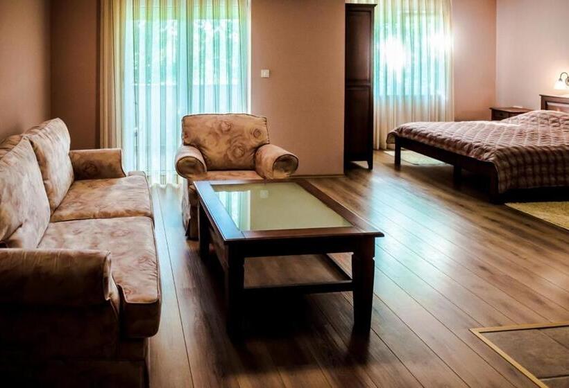 استودیو استاندارد با بالکن, Villa Monako 2000