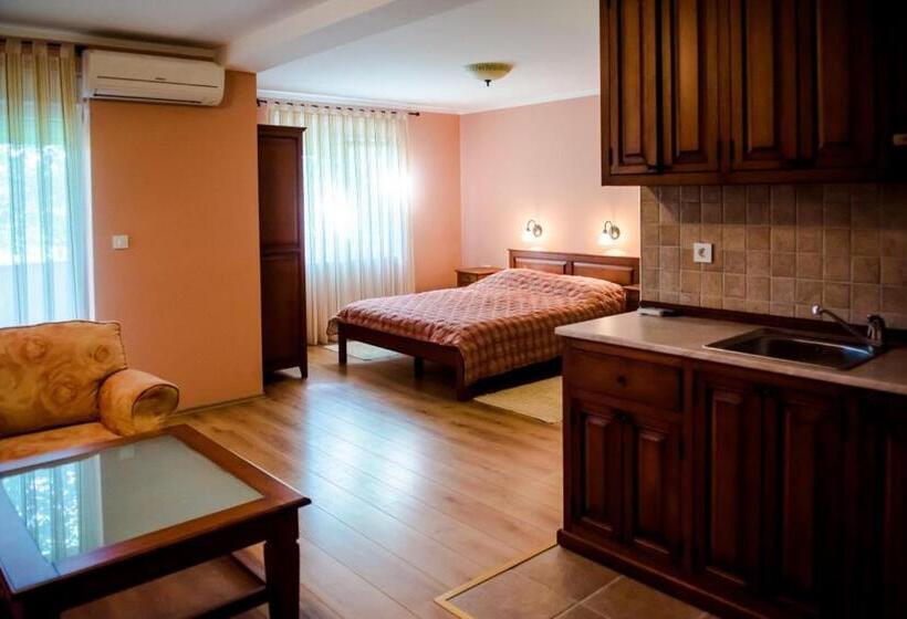 استودیو استاندارد با بالکن, Villa Monako 2000