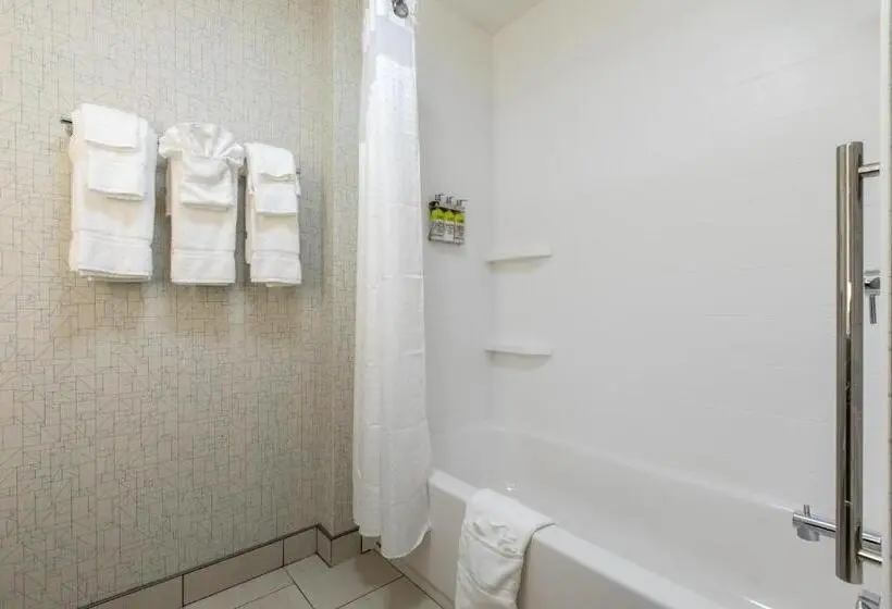スタンダードルーム, Holiday Inn Express & Suites Greenville S   Piedmont, An Ihg