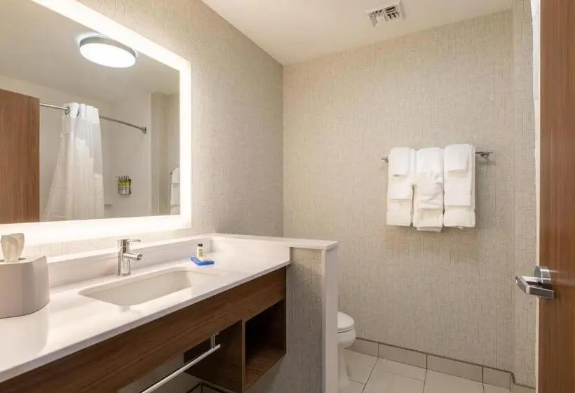 スタンダードルーム, Holiday Inn Express & Suites Greenville S   Piedmont, An Ihg