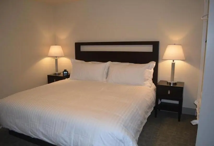 シングルデラックスルーム, Basalt Mountain Inn