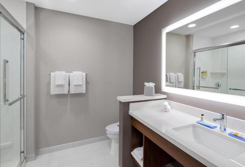 غرفة قياسية سرير كينج, Holiday Inn Express & Suites Lubbock Central   Univ Area, An Ihg