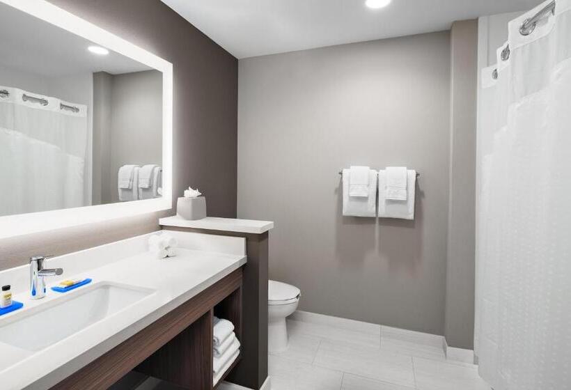 غرفة قياسية, Holiday Inn Express & Suites Lubbock Central   Univ Area, An Ihg