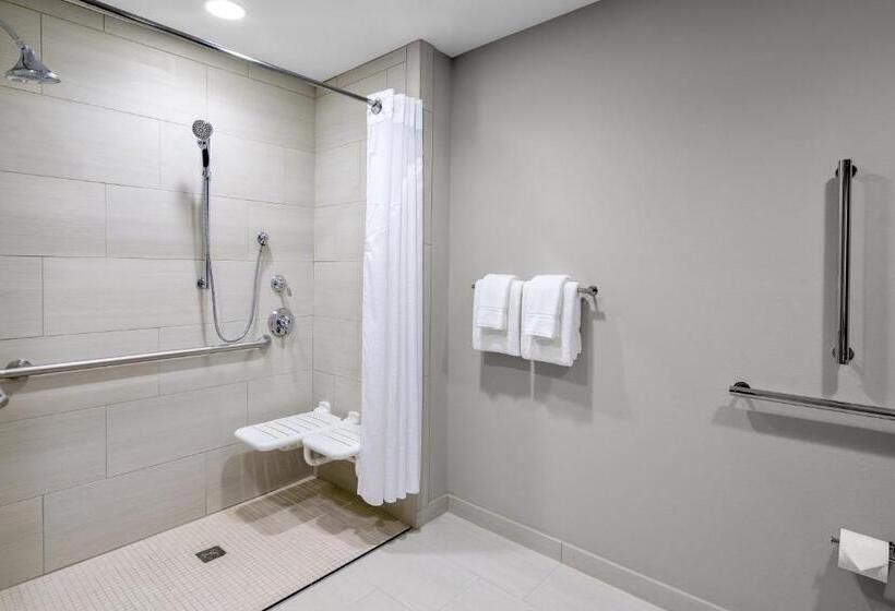 غرفة قياسية سرير ملكى لذوى الإحتياجات الخاصة, Holiday Inn Express & Suites Lubbock Central   Univ Area, An Ihg