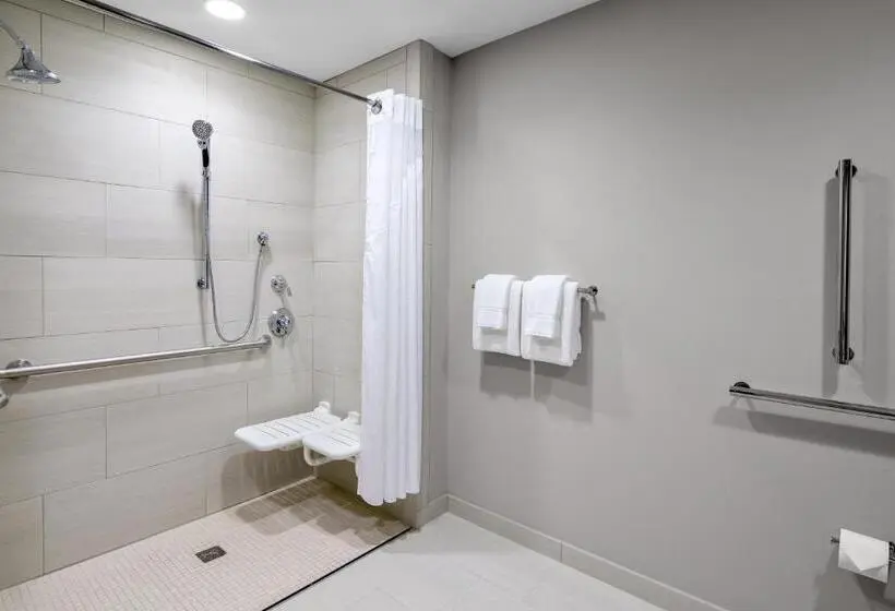 身障者適用クイーンサイズベッドルーム, Holiday Inn Express & Suites Lubbock Central Univ Area, An Ihg