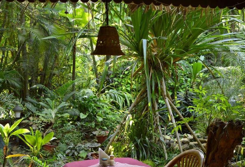 اتاق سوپریور, Palm Grove Cottages   Leisure Resort