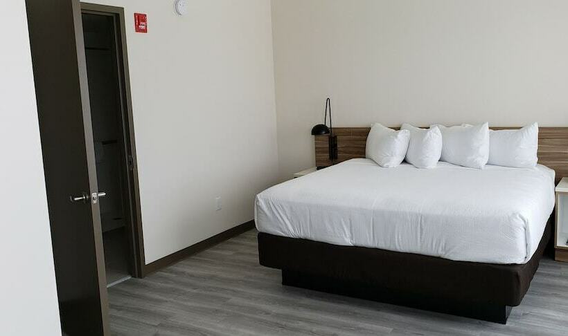 套房, Wyndham Garden Ft Lauderdale Airport & Cruise Port