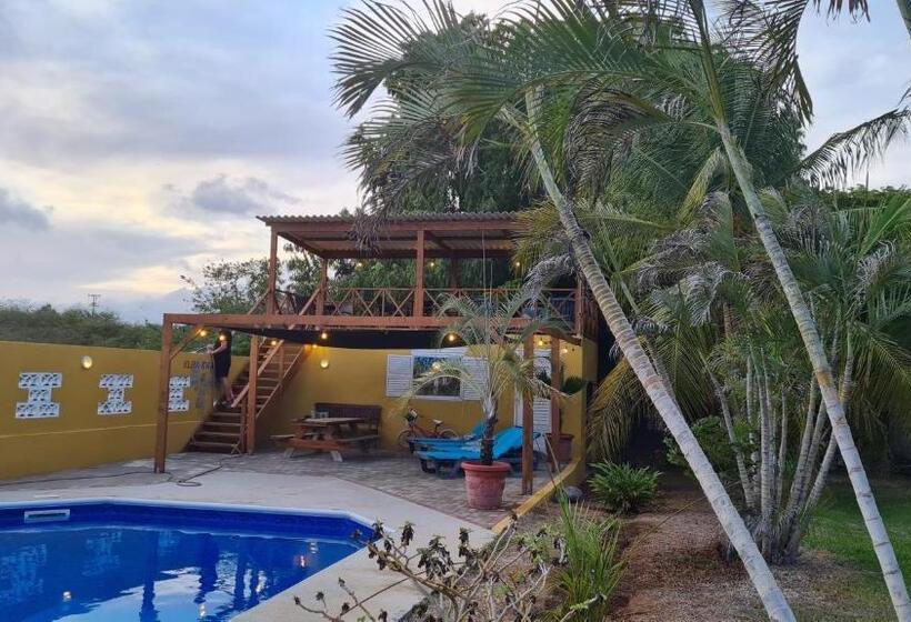 اتاق استاندارد با چشمانداز باغ, Bed And Breakfast Toni Kunchi