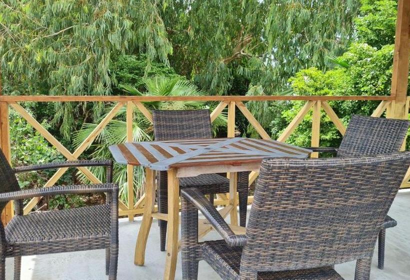 اتاق لوکس, Bed And Breakfast Toni Kunchi