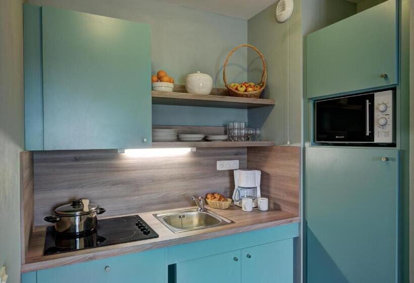 استودیو استاندارد با چشمانداز, Résidence B O Cottage B O Resort Thermal & Spa