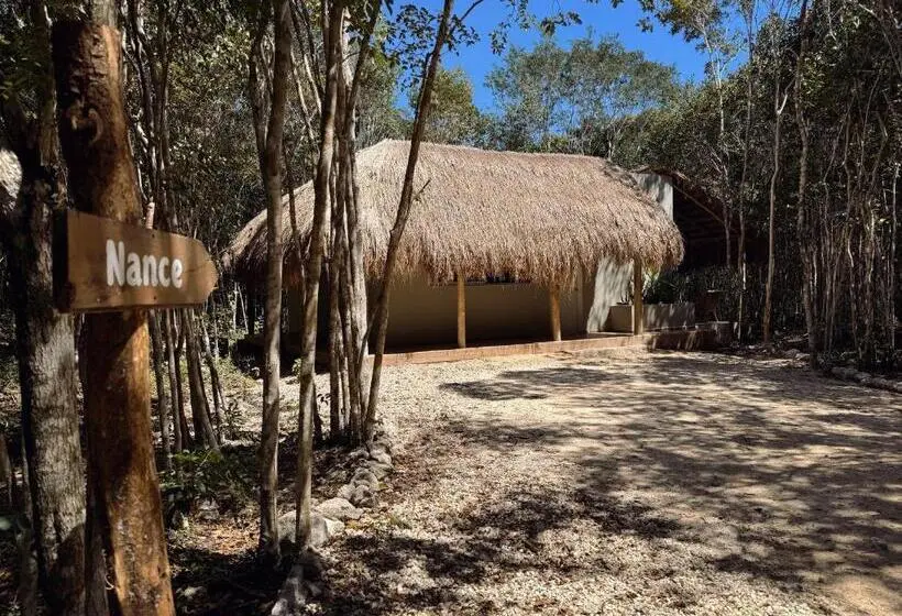 Perhehuone, Casa Kaan Calakmul