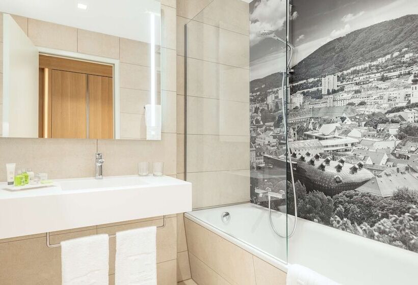 스탠다드 전망 룸, NH Graz City