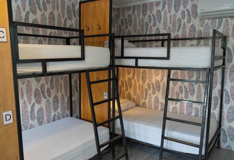 تختخواب در اتاق مشترک, Socialtel Montañita   Formerly Selina Montañita