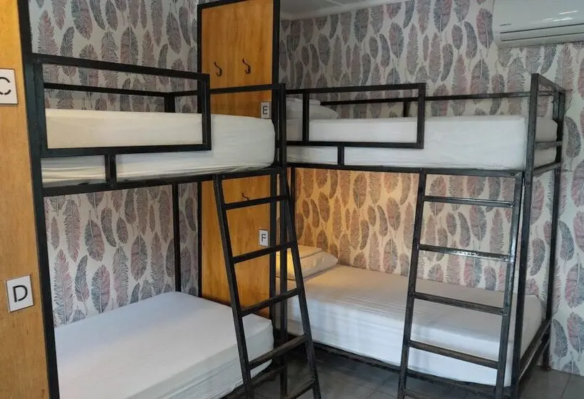 تختخواب در اتاق مشترک, Socialtel Montañita   Formerly Selina Montañita