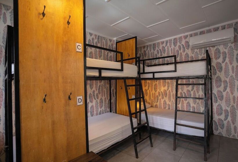 تختخواب در اتاق مشترک, Socialtel Montañita   Formerly Selina Montañita