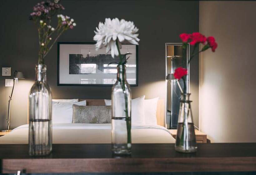 إستوديو قياسى, Suites Sur Lac