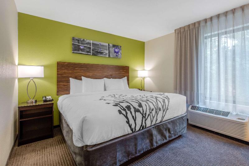 Стандартный Номер Кровать Кинг, Comfort Inn St Louis Airport