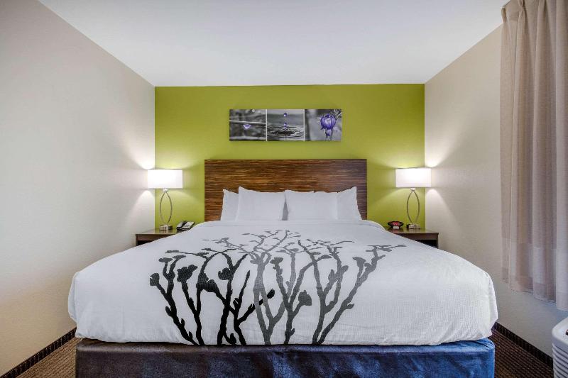 Стандартный Номер Кровать Кинг, Comfort Inn St Louis Airport