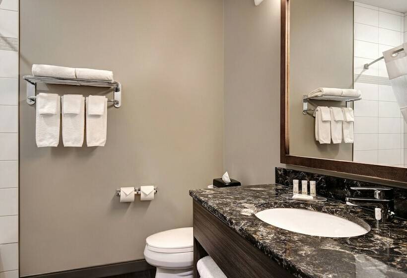 Полулюкс, Days Inn & Suites By Wyndham Warman