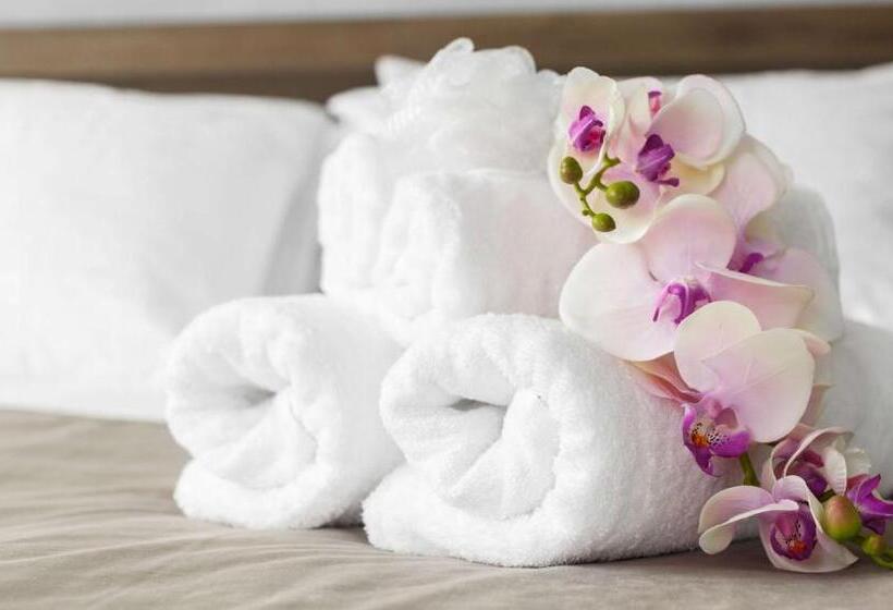 Стандартный Номер Кровать Кинг, Express Inn Newport News