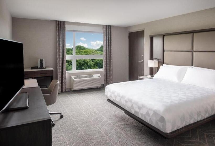 스탠다드 룸 킹사이즈 침대, Holiday Inn Boston Logan Airport   Chelsea, An Ihg