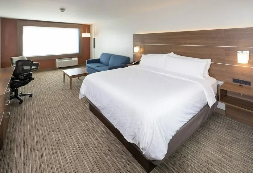 スイート, Holiday Inn Express & Suites   Kalamazoo West, An Ihg