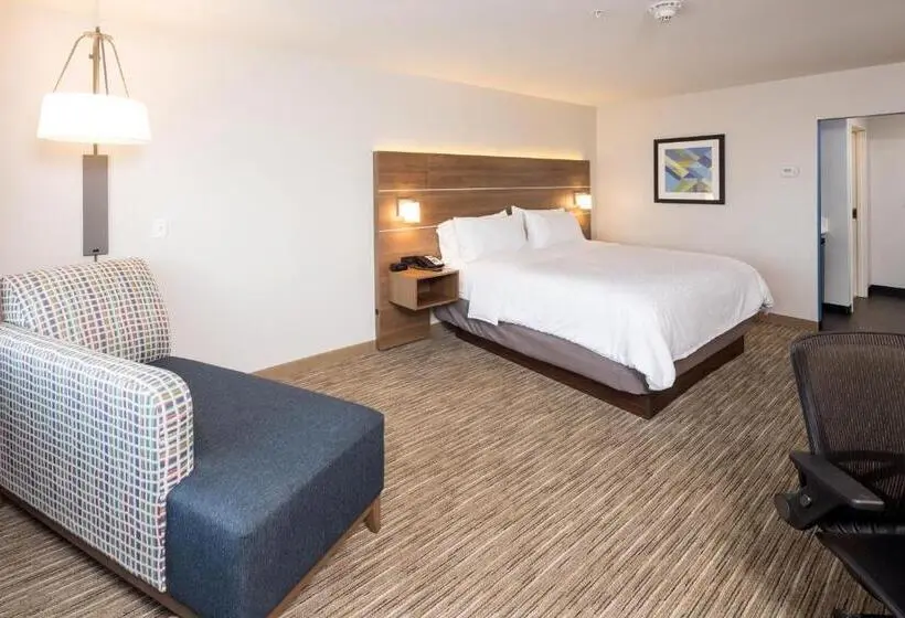キングサイズベッドのスタンダードルーム, Holiday Inn Express & Suites   Kalamazoo West, An Ihg