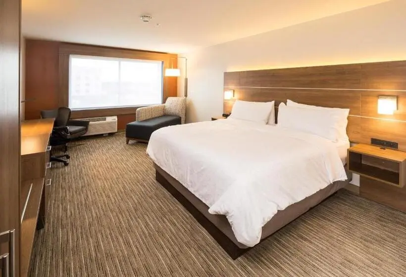 身障者適用キングサイズベッドルーム, Holiday Inn Express & Suites   Kalamazoo West, An Ihg