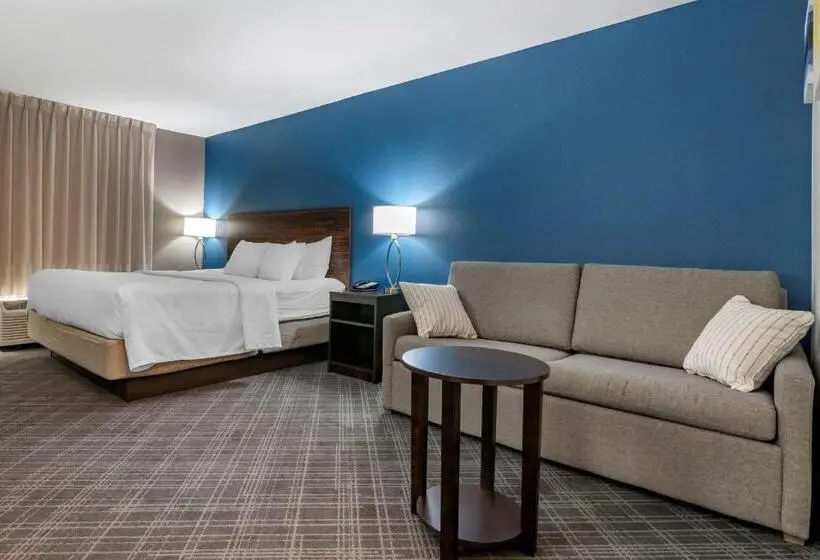 اتاق استاندارد با تخت بزرگ, Comfort Inn St Louis Airport