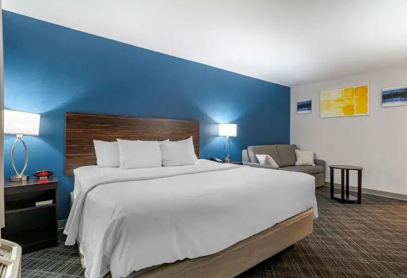 اتاق استاندارد با تخت بزرگ, Comfort Inn St Louis Airport