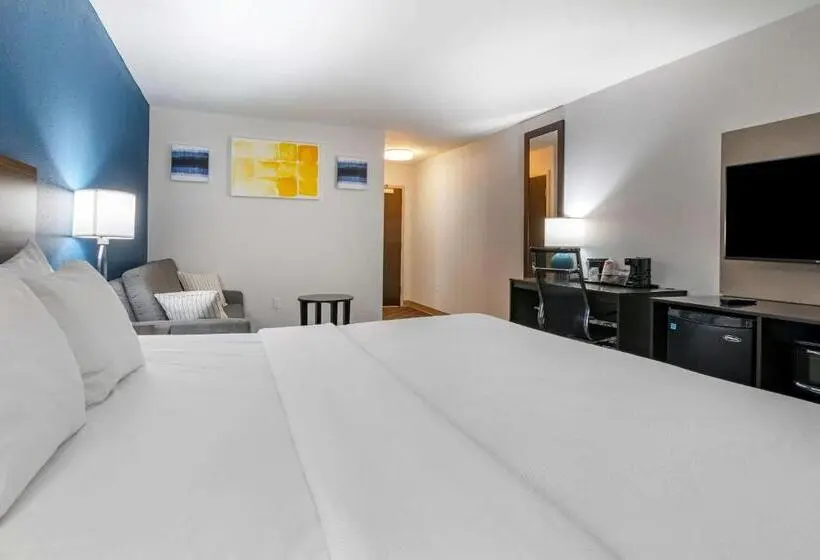 اتاق استاندارد با تخت بزرگ, Comfort Inn St Louis Airport