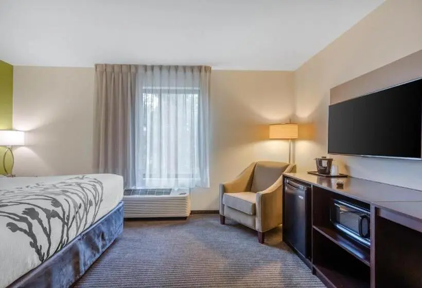 اتاق استاندارد با تخت بزرگ, Comfort Inn St Louis Airport