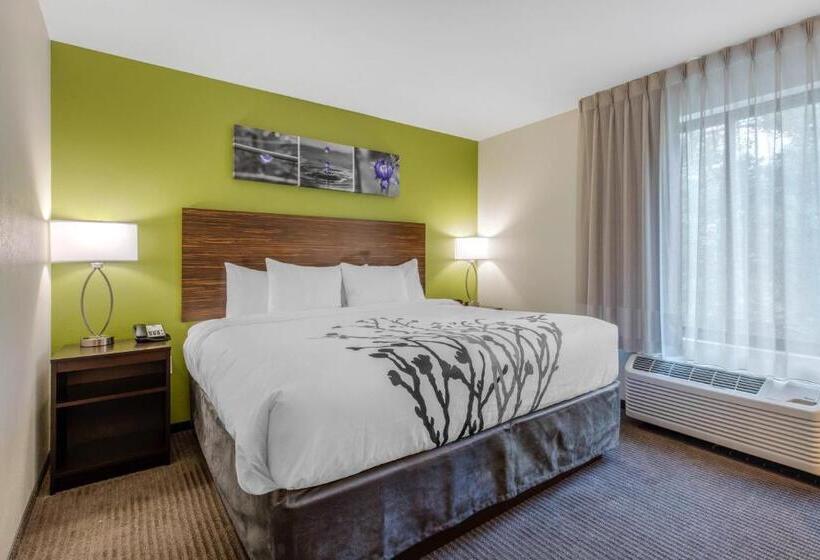 带大床的标准间, Comfort Inn St Louis Airport