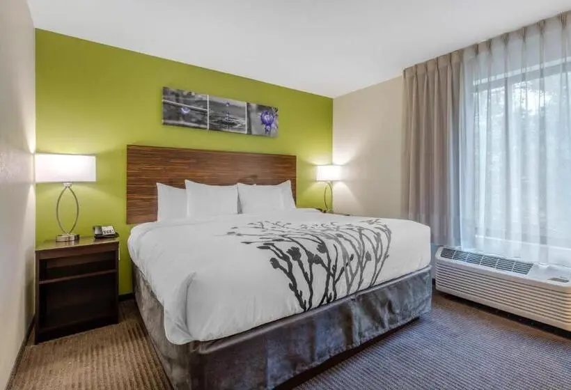 اتاق استاندارد با تخت بزرگ, Comfort Inn St Louis Airport