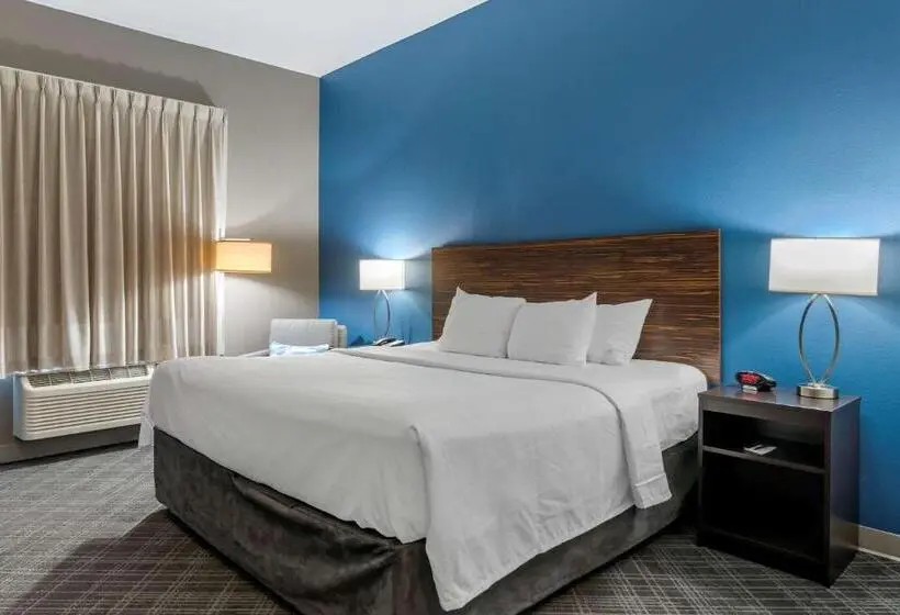 اتاق استاندارد با تخت بزرگ برای معلولان, Comfort Inn St Louis Airport